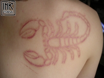 Fousage - skarifikace,cutting - scorpio healed